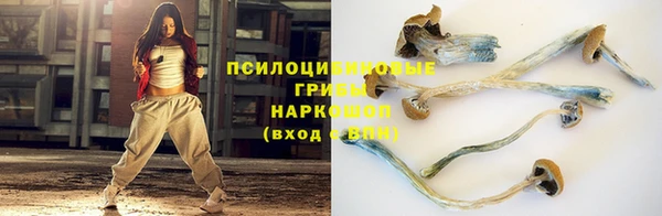 дживик Волосово