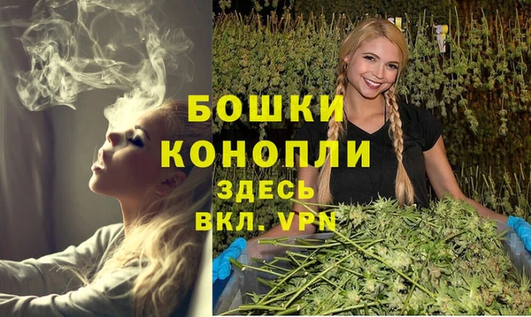 дмт Володарск