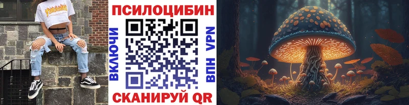 blacksprut tor  Черкесск  Галлюциногенные грибы MAGIC MUSHROOMS  магазин продажи  